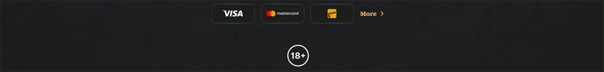 Payment methods footer with Visa, Mastercard, and Interac icons, a “More” link, and an 18+ badge on a dark background.